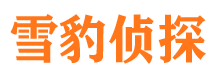 望都外遇调查取证